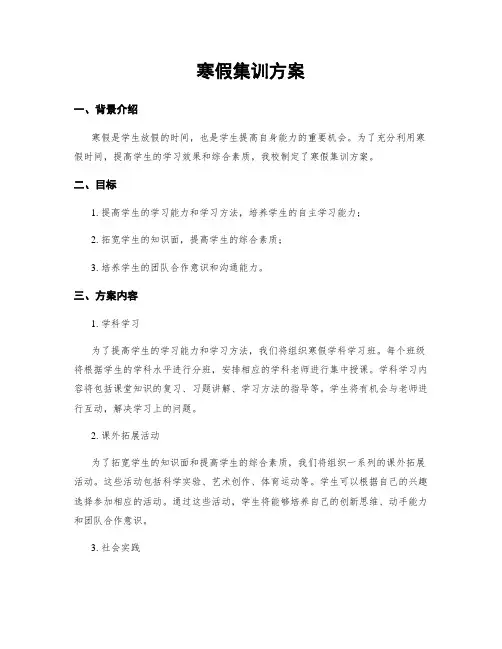 寒假集训方案