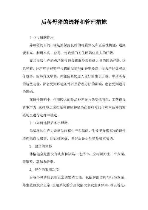 后备母猪选择和管理措施