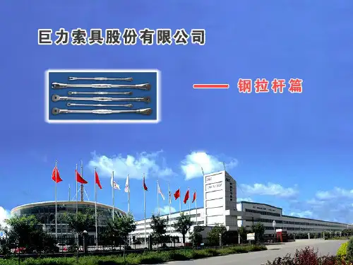 现代结构——预应力钢拉杆