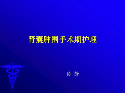 肾囊肿围手术期护理ppt模板