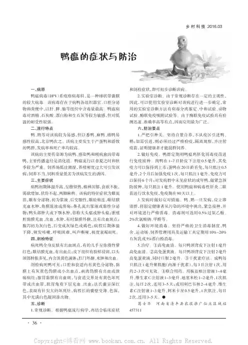 鸭瘟的症状与防治