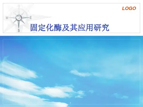 固定化酶PPT参考幻灯片