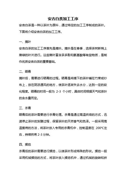 安吉白茶加工工序