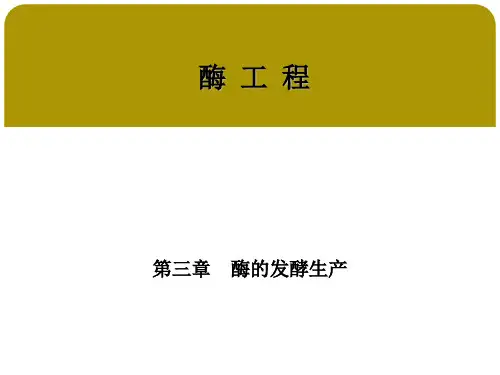 酶工程 第三章酶的发酵生产 第一节酶生物合成的基本理论