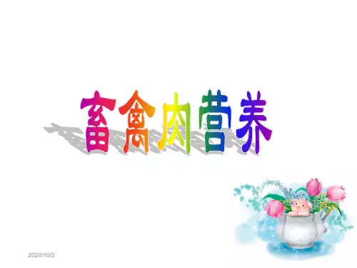最新文档-畜禽肉营养-PPT精品文档
