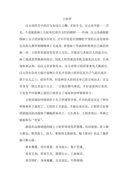 王昭君22