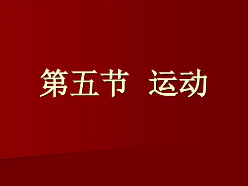 电影视听语言6第五节运动