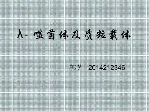 入噬菌体及质粒载体