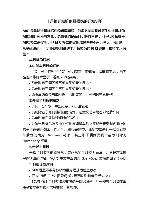半月板详细解剖及损伤的详细讲解