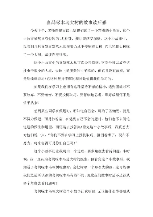 喜鹊啄木鸟大树的故事读后感