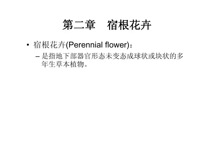 花 卉 学第二章 宿根花卉