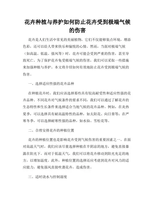 花卉种植与养护如何防止花卉受到极端气候的伤害