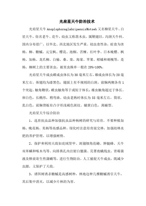光肩星天牛防治技术