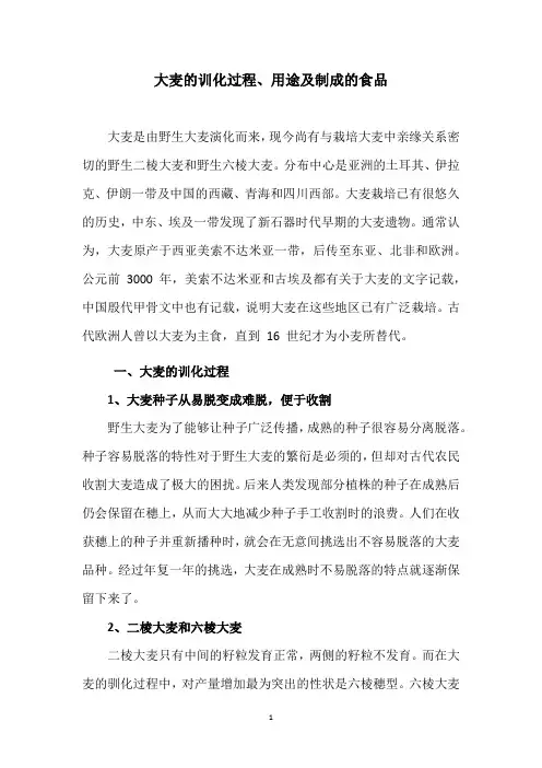 大麦的训化过程、用途及制成的食品