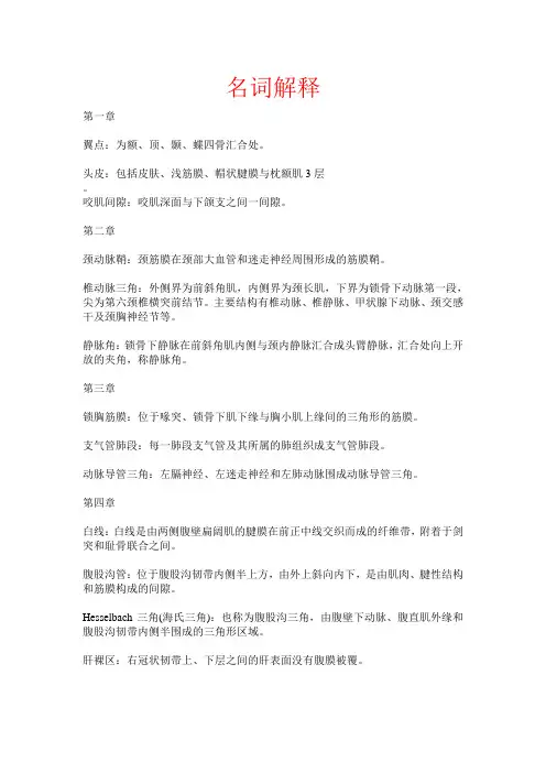 局部解剖学名词解释