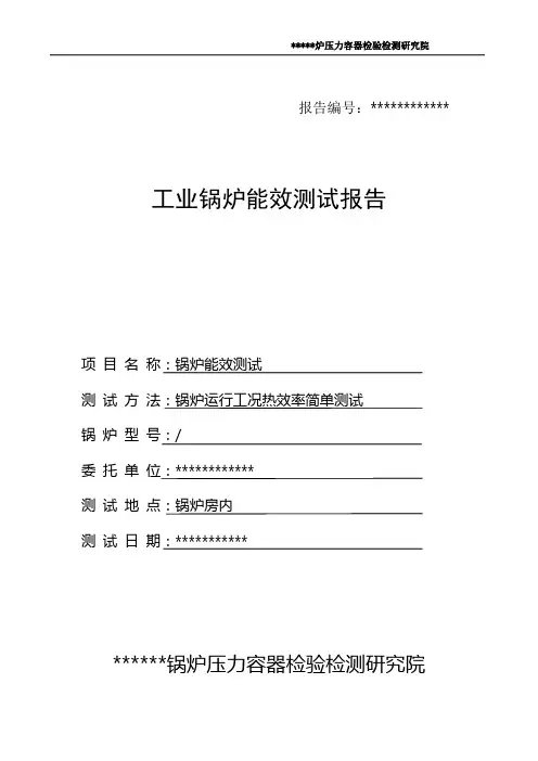 正平衡热水锅炉能效测试报告