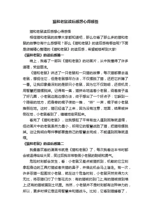 猫和老鼠读后感想心得感悟