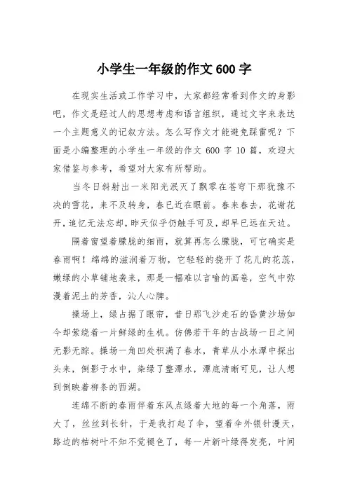 小学生一年级的作文600字_1