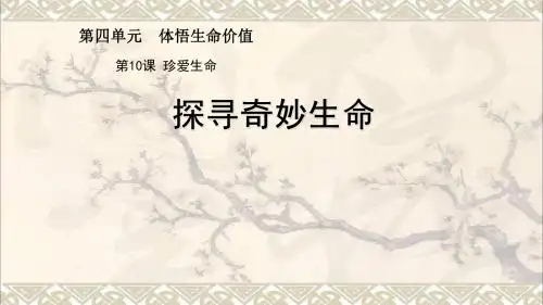 七年级道德与法治下册第四单元体悟生命价值第10课珍爱生命第2框生命只有一次课件苏教
