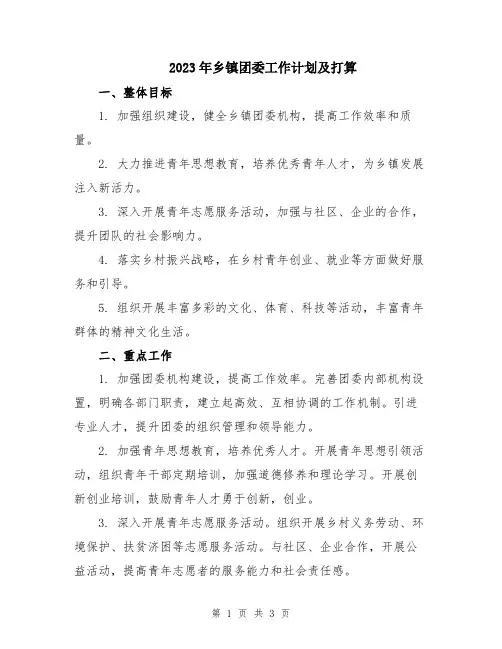 2023年乡镇团委工作计划及打算