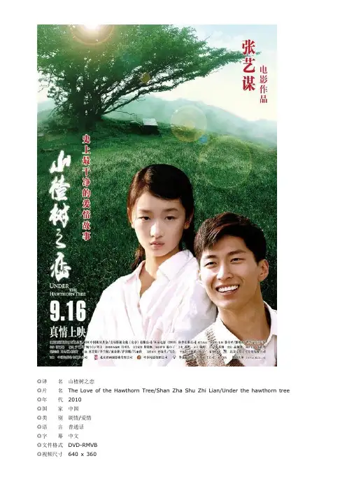 电影简介《山楂树之恋》