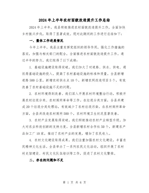 2024年上半年农村面貌改造提升工作总结(二篇)