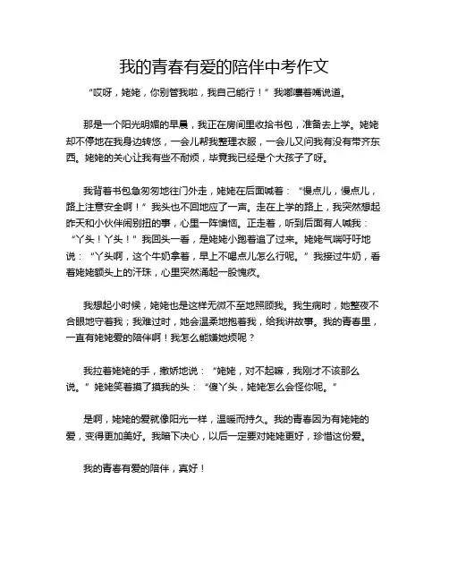 我的青春有爱的陪伴中考作文