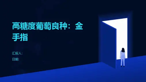 高糖度葡萄良种：金手指