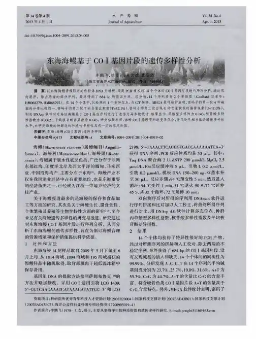 东海海鳗基于COI基因片段的遗传多样性分析