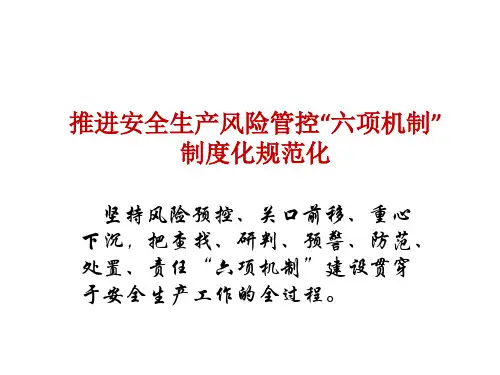 推进安全生产风险管控“六项机制”制度化规范化