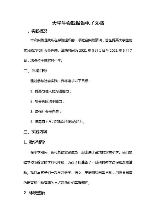 大学生实践报告电子文档
