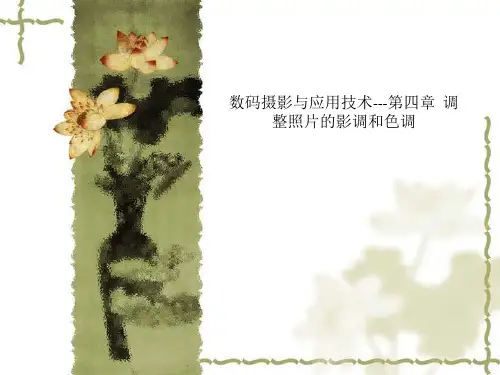数码摄影与应用技术---第四章  调整照片的影调和色调
