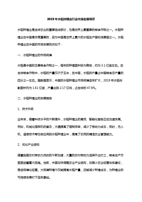 2023年水稻种植业行业市场发展现状