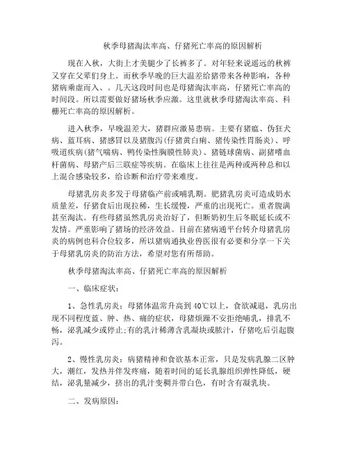秋季母猪淘汰率高、仔猪死亡率高的原因解析