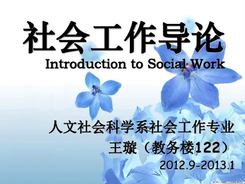 第六章 社会工作的理论与知识基础