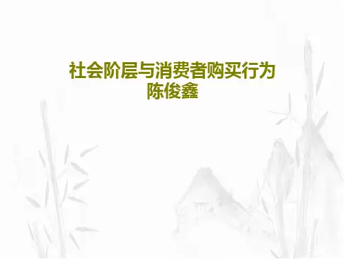 社会阶层与消费者购买行为 陈俊鑫49页PPT