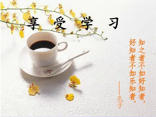 享受学习ppt优秀课件52 人教版PPT课件