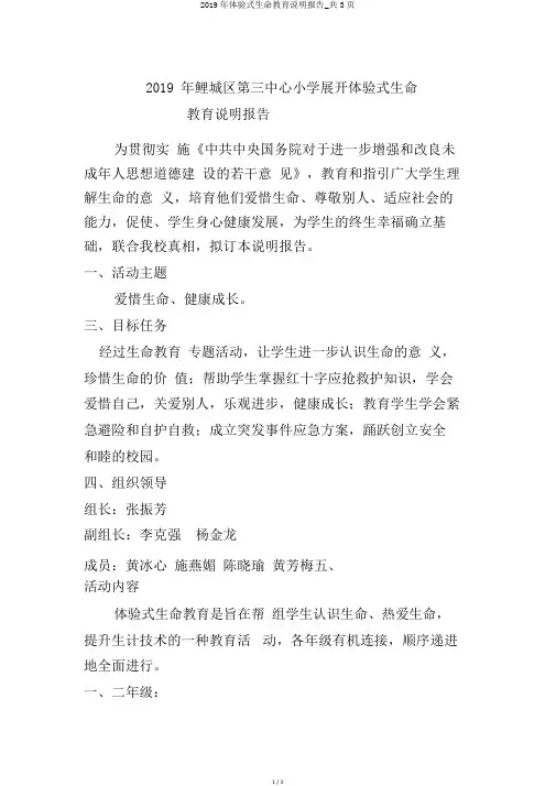 2019年体验式生命教育说明报告_共3页
