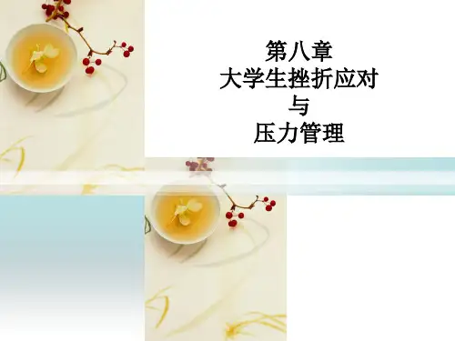 大学生挫折应对与压力管理培训讲义