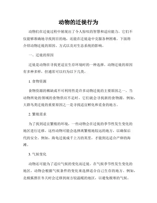 动物的迁徙行为