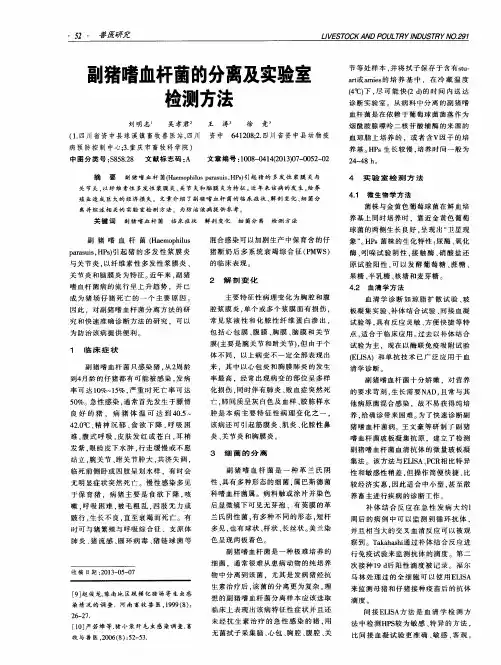 副猪嗜血杆菌的分离及实验室检测方法