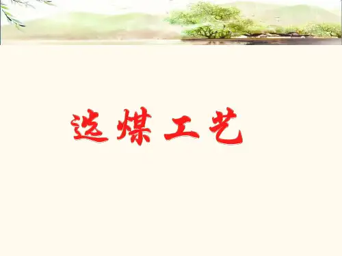 选煤