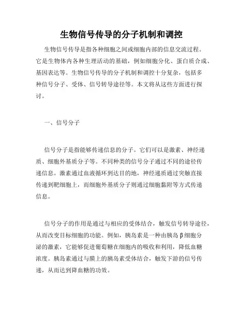 生物信号传导的分子机制和调控