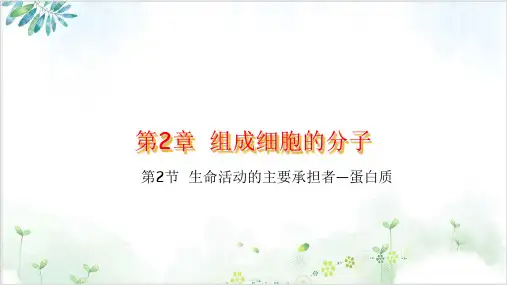 人教版必修1生物-生命活动的主要承担者——蛋白质(32张)-PPT优秀课件