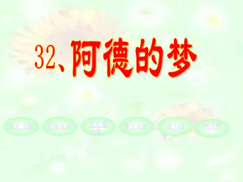 《阿德的梦》人教版二年级语文下册ppt课件(2篇)