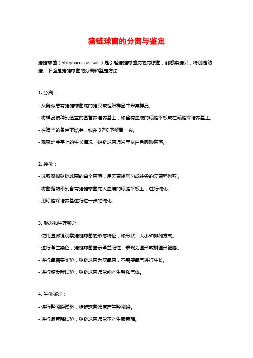 猪链球菌的分离与鉴定
