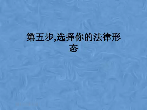第五步,选择你的法律形态