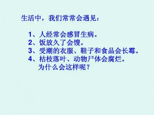 生物圈中的微生物.