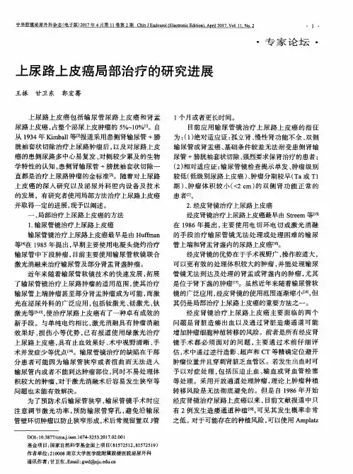 上尿路上皮癌局部治疗的研究进展