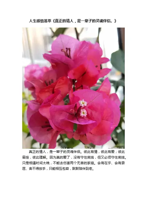 人生感悟荟萃《真正的情人，是一辈子的灵魂伴侣。》
